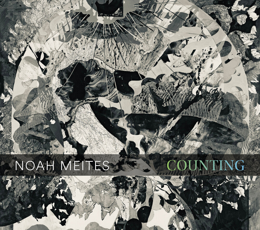 Noah Meites: Counting Music CD