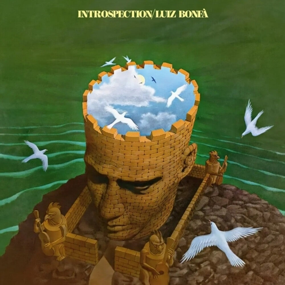 Introspection [LP] Vinyl Record