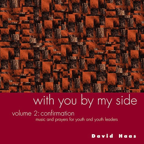 Haas,david - With You By My Side 2 - Music CD