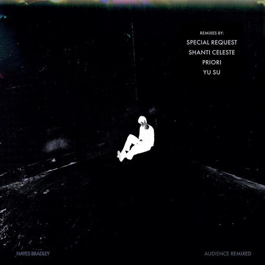 the album cover for Hayes Bradley - Audience (Remixed)