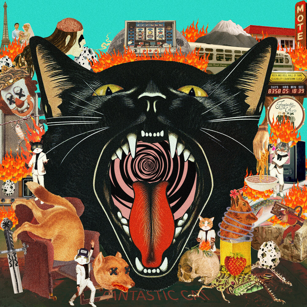 Cat Out Of Hell Music CD