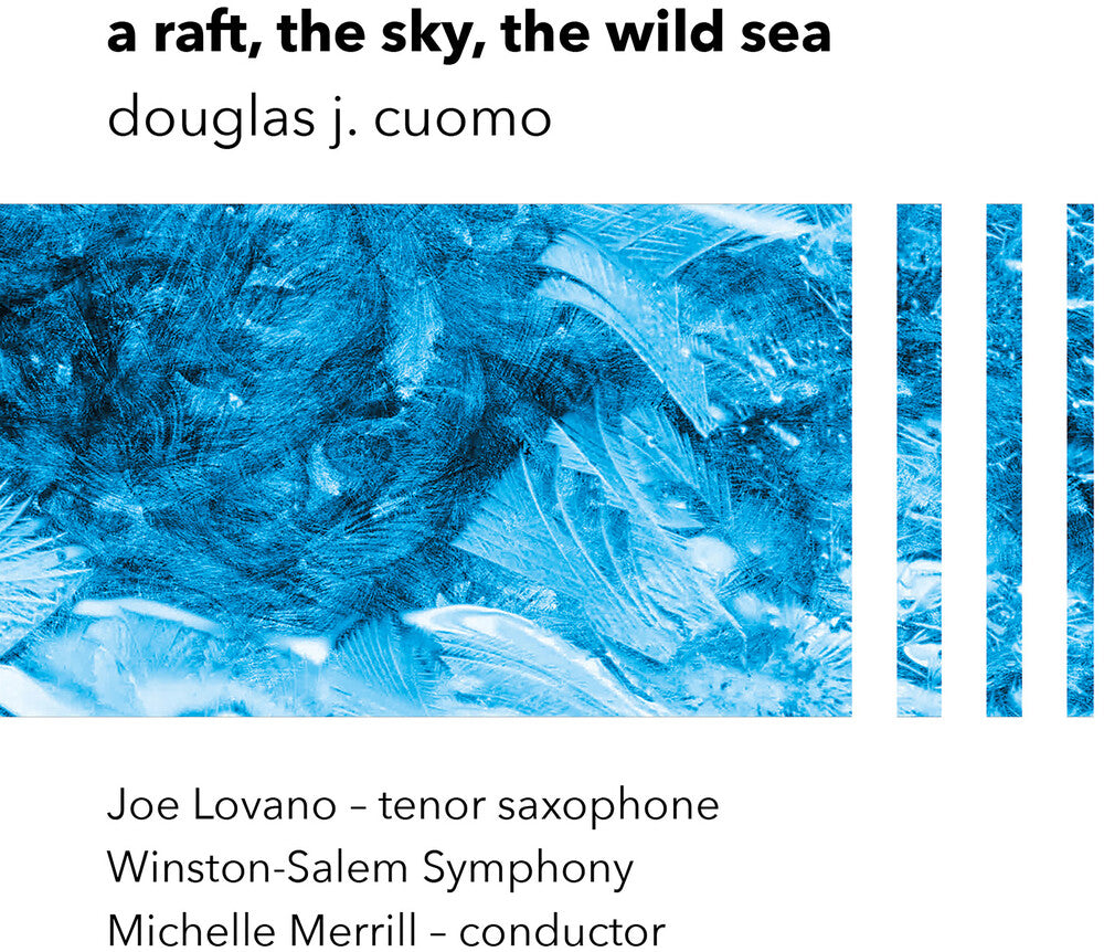 A Raft The Sky The Wild Sea [LP] Vinyl Record