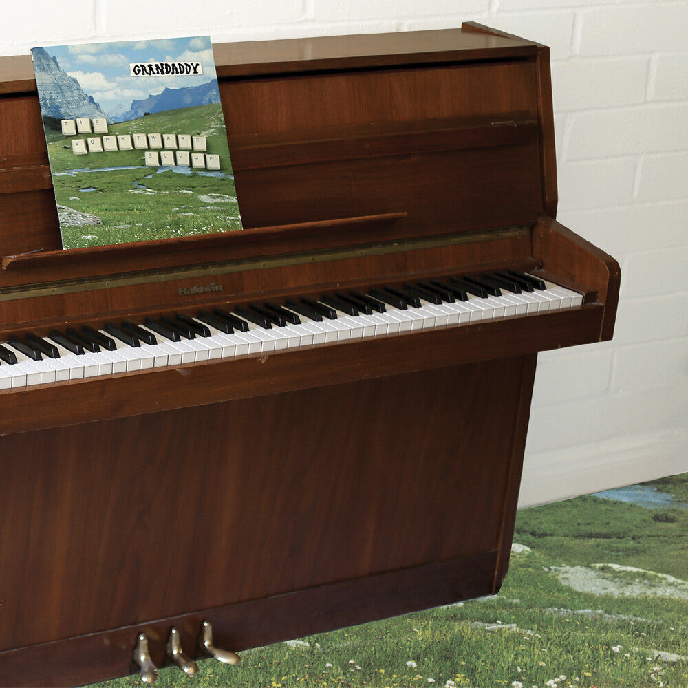 Sophtware Slump On A Wooden Piano [Eco Mix] Vinyl Record