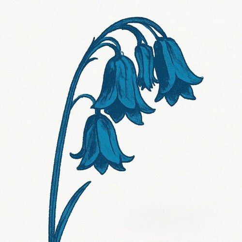 Bluebells - This Is The Bluebells - Glade Green Vinyl - Vinyl Record