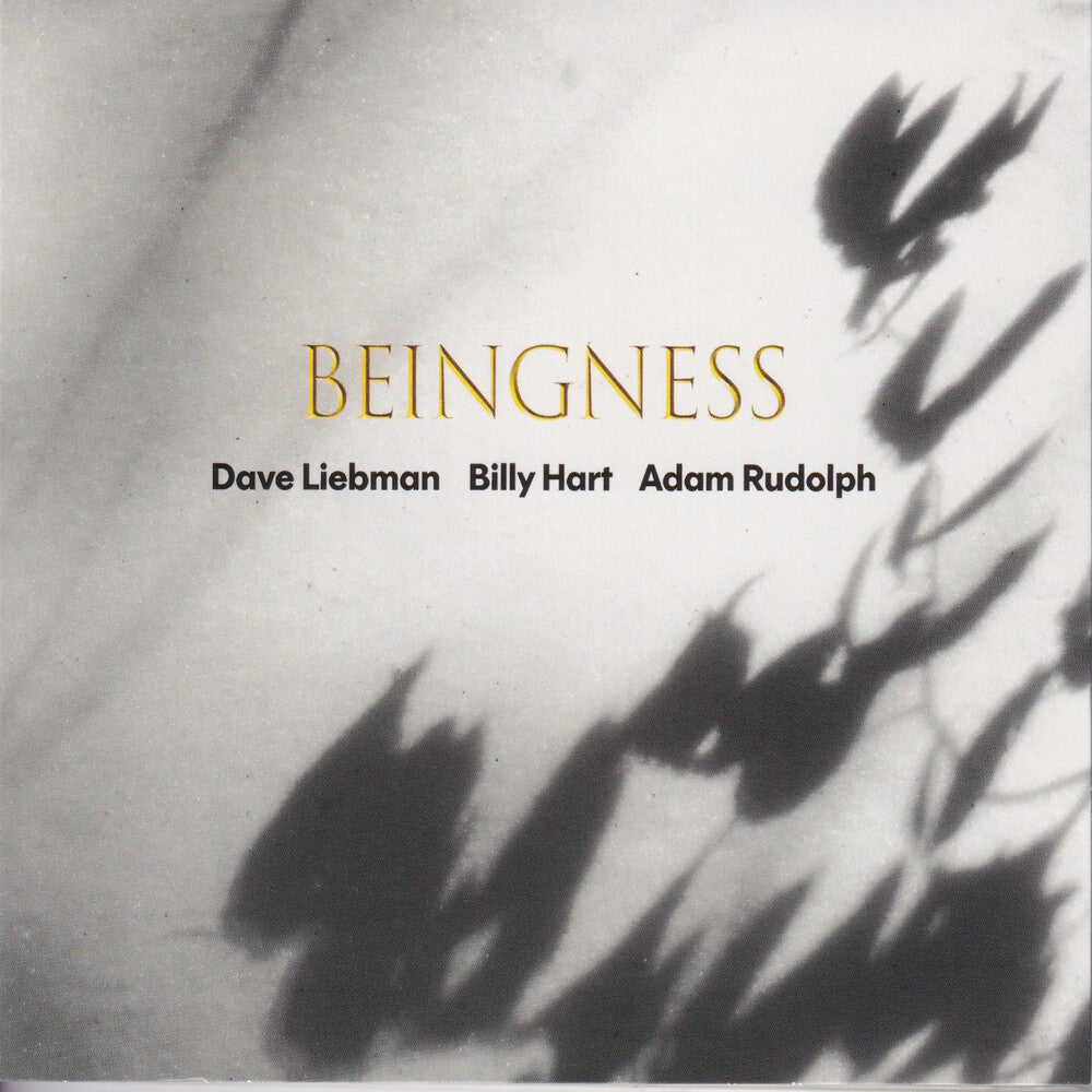Beingness [Colored Vinyl] [Limited Edition] [180 Gram] Vinyl Record