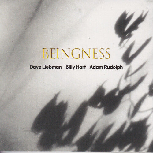 Leibman,dave / Hart,billy / Rudolph,adam - Beingness - Vinyl Record