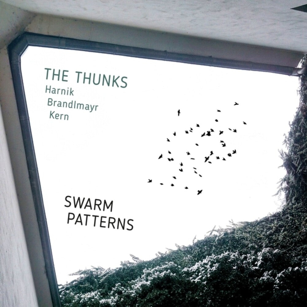 Swarm Patterns Music CD