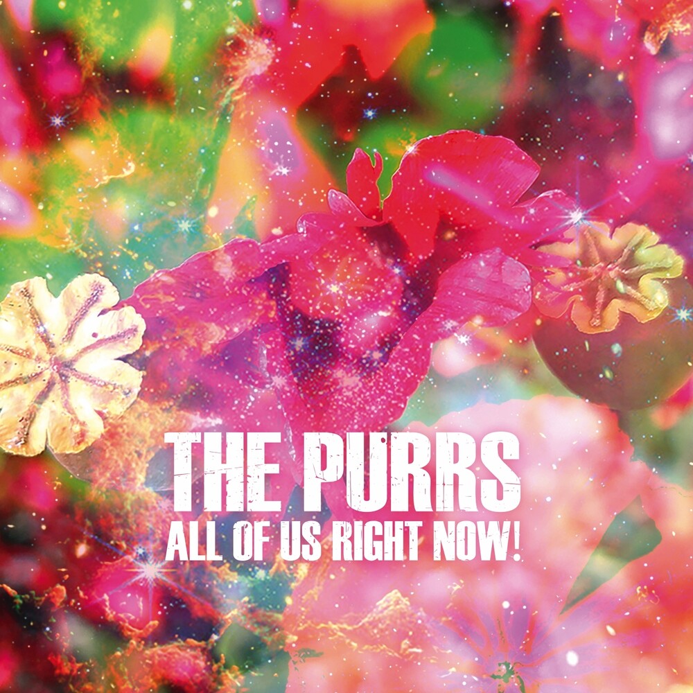 All Of Us Right Now [LP] Vinyl Record