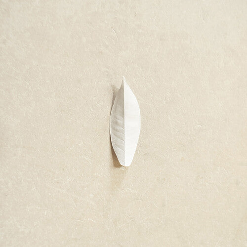 Chauveau,sylvain - Complexity Of The Simple - Vinyl Record