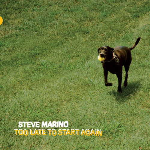 Marino,steve - Too Late To Start Again - Vinyl Record
