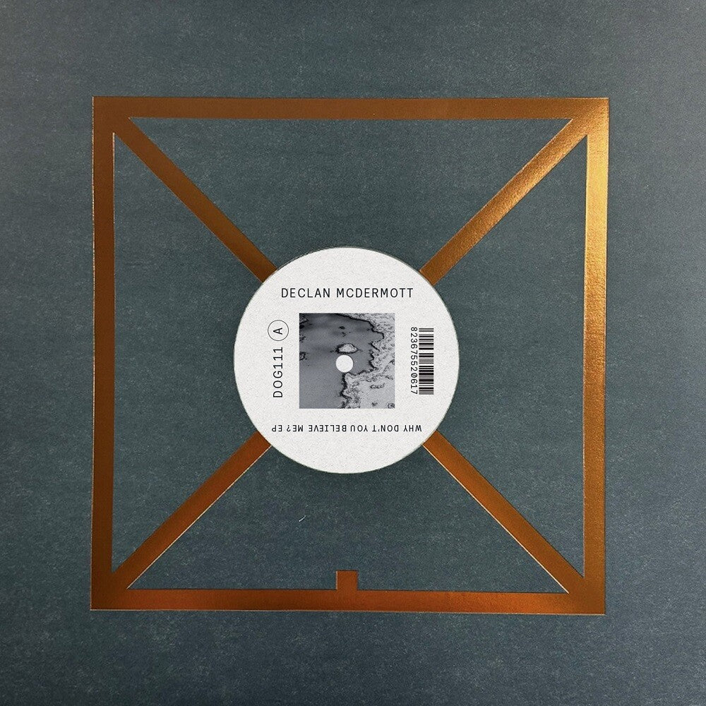 Why Don't You Believe Me? [12" Vinyl] Vinyl Record