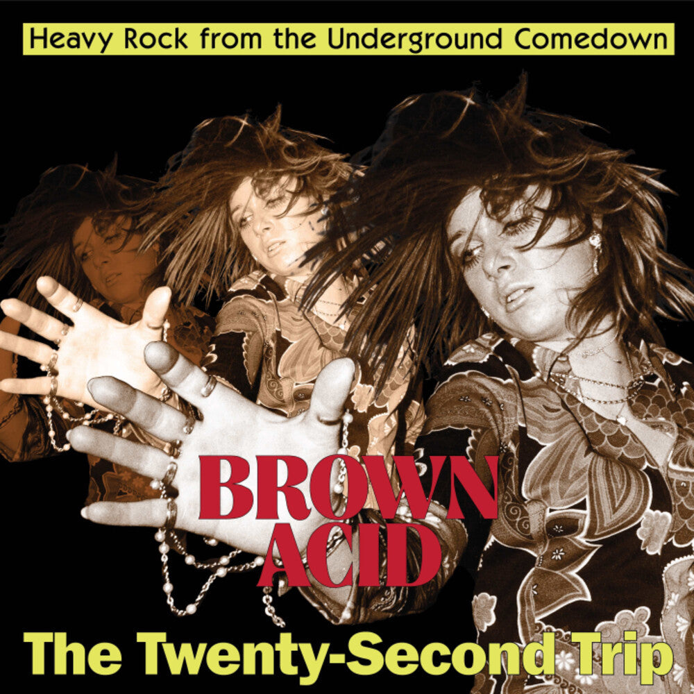 Brown Acid - The Twenty-Second Trip (Various Artists) Music CD