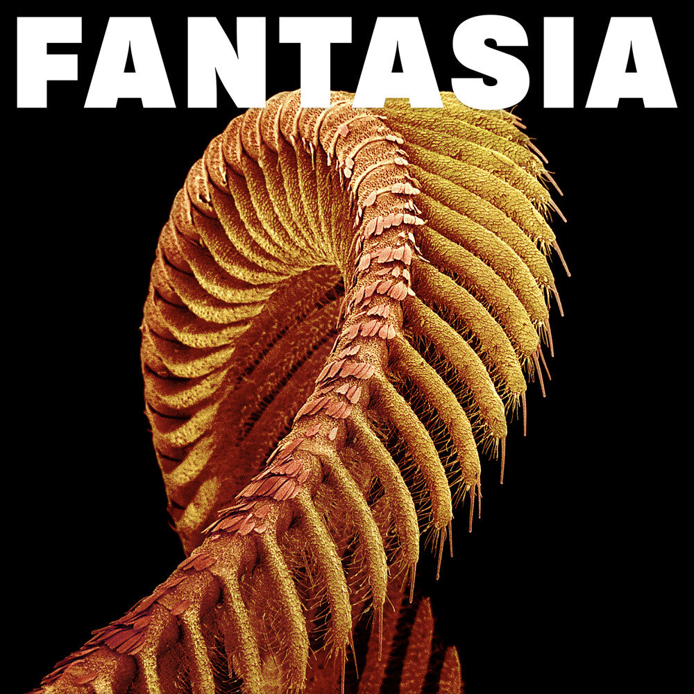 Fantasia Music CD
