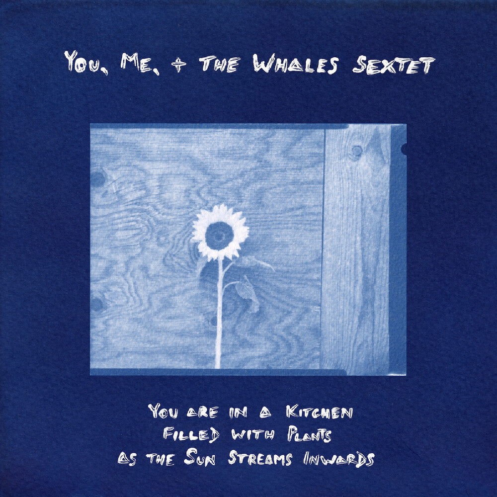 You, Me, + The Whales Sextet - You Are In A Kitchen Filled With Plants As The Sun [LP] Vinyl Record