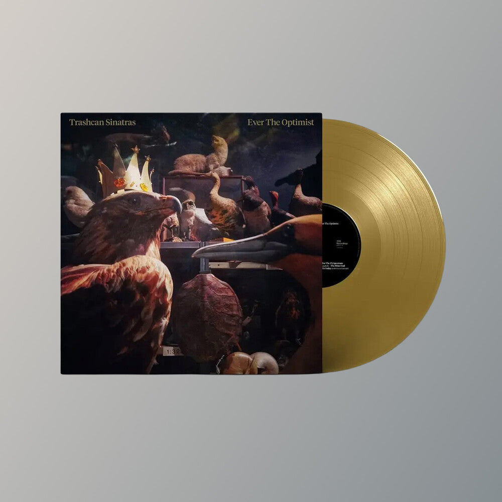 Ever The Optimist [Color] Vinyl Record