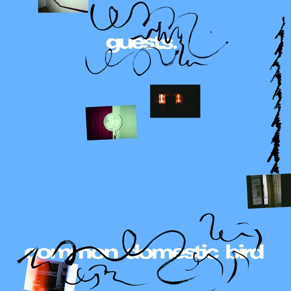 Guests - Common Domestic Bird [LP] Vinyl Record