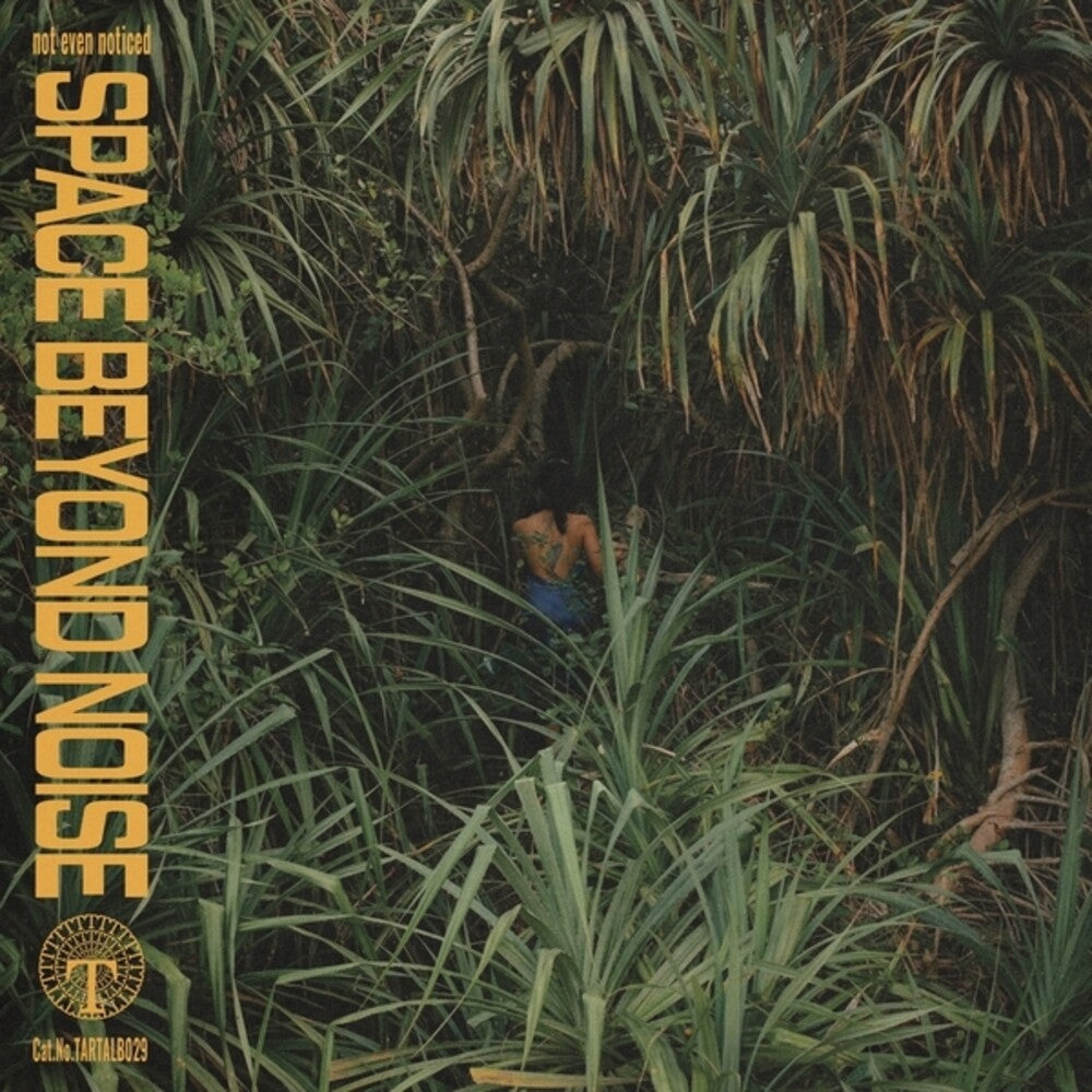 Space Beyond Noise [LP] Vinyl Record