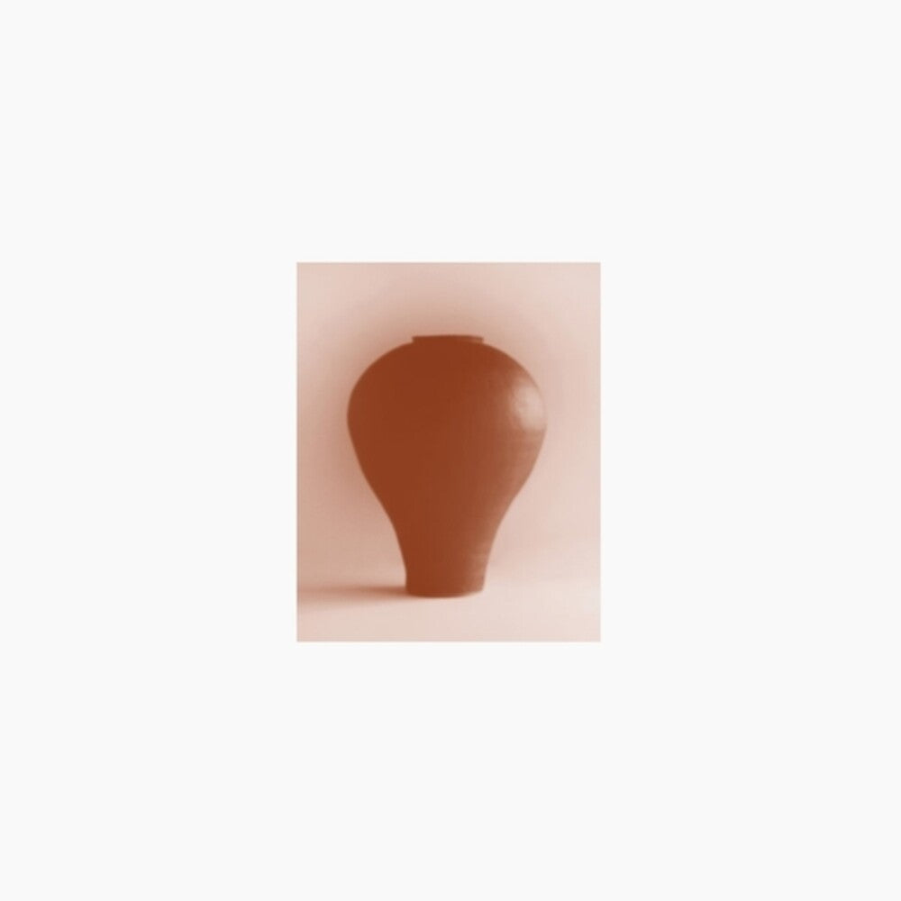 Beatriz Ferreyra - Distracted Godc [LP] Vinyl Record