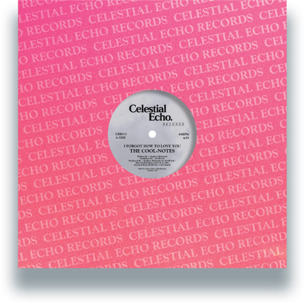 I Forgot How To Love You / Why Can't We Be Friends [12" Vinyl] Vinyl Record
