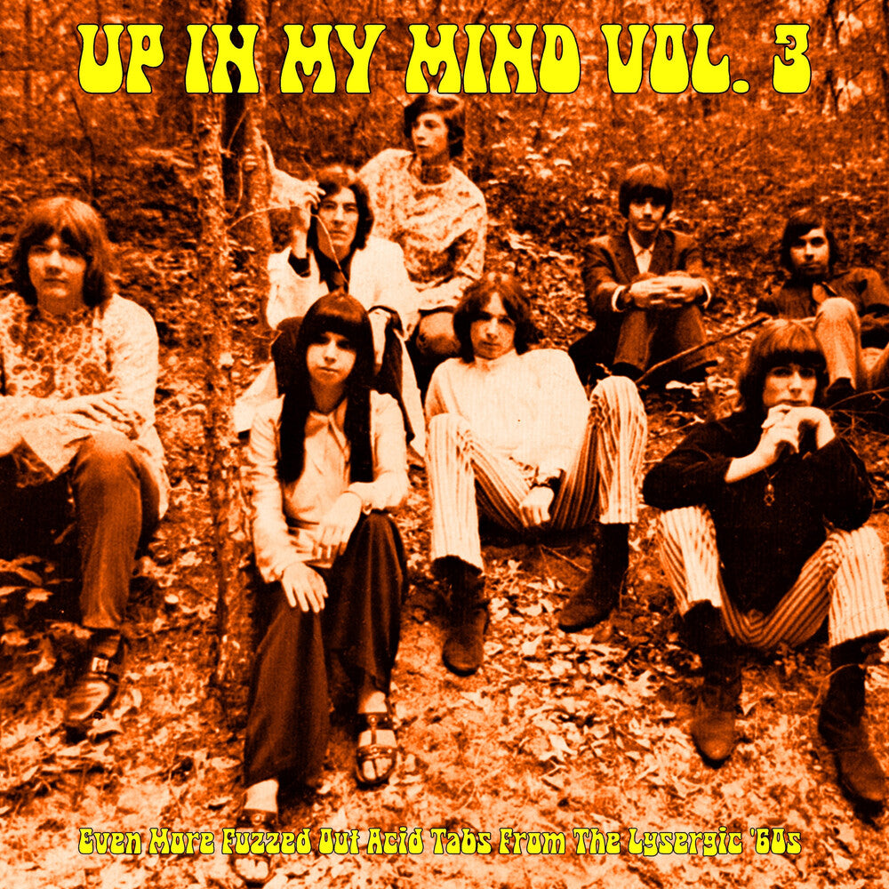 Up In My Mind Vol. 3: Even More Fuzzed Out / Var [LP] Vinyl Record