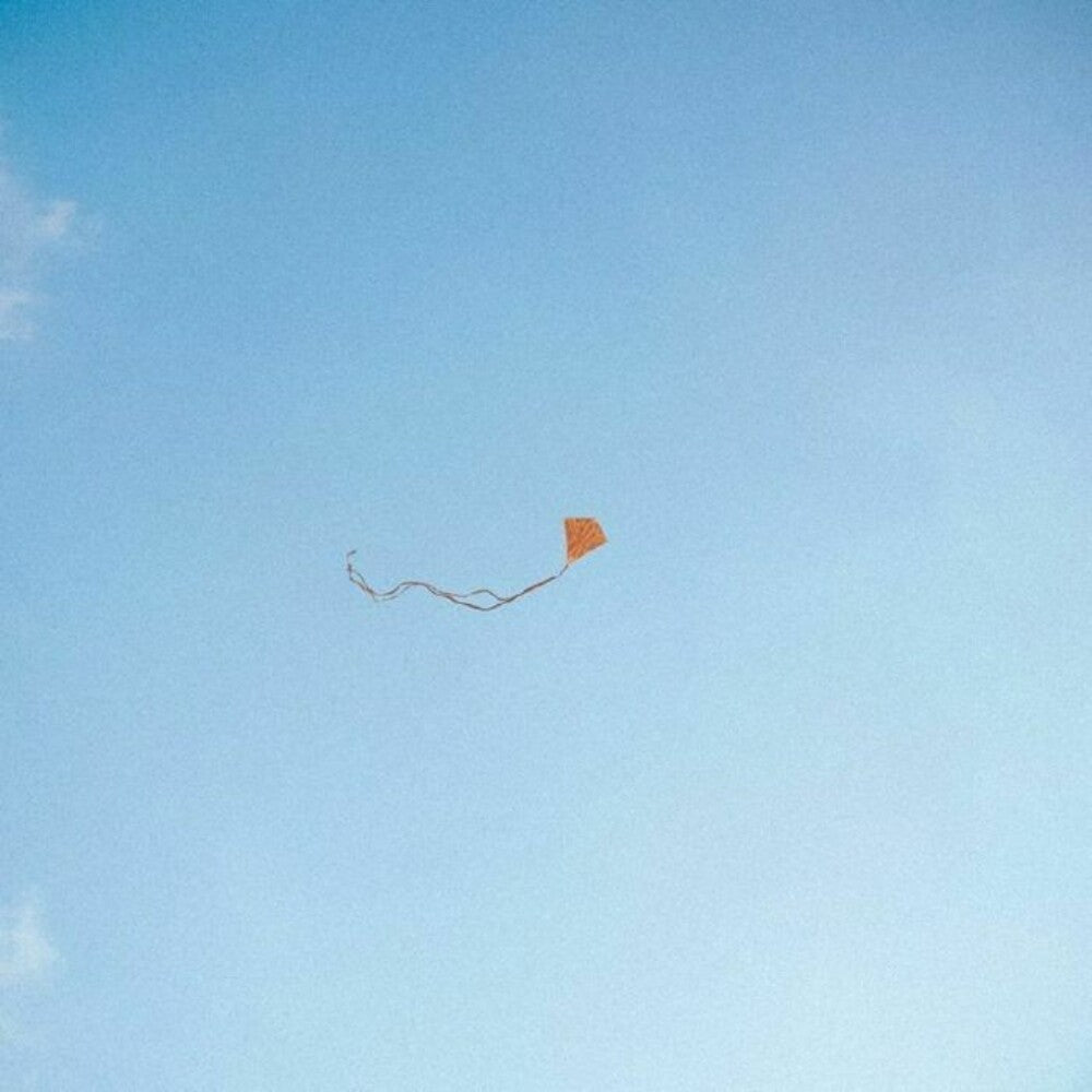 Lost Found & Forgotten [LP] Vinyl Record