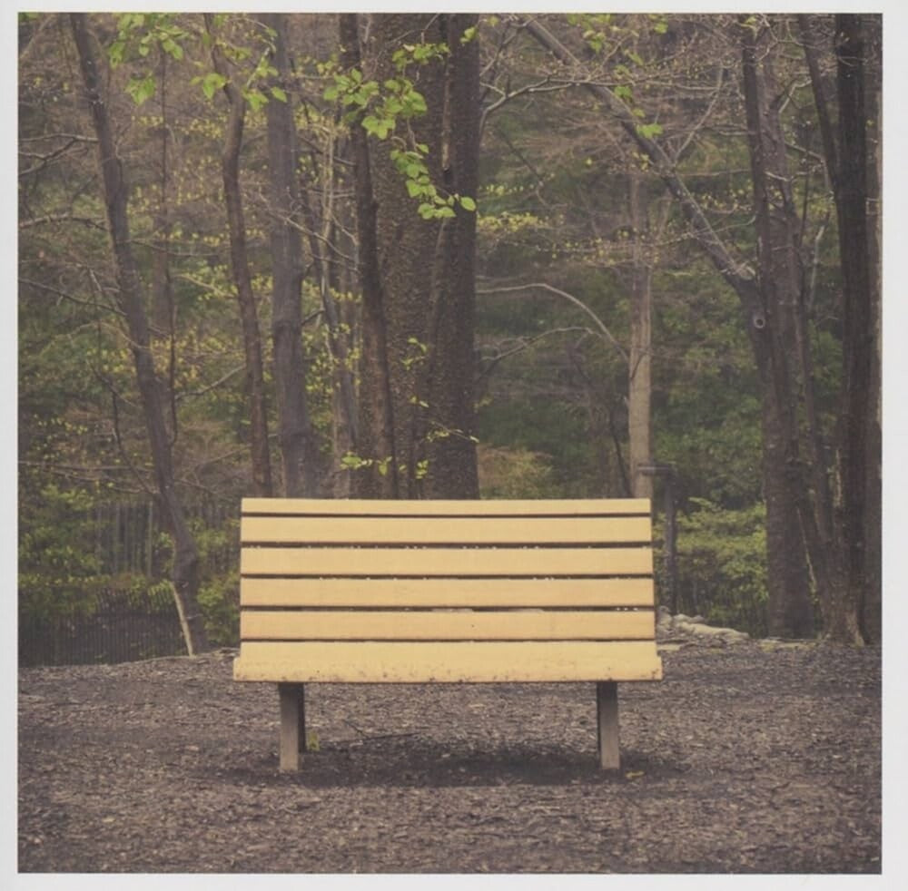 Streetlight Manifesto - Hands That Thieve [Colored Vinyl] [Reissue] Vinyl Record