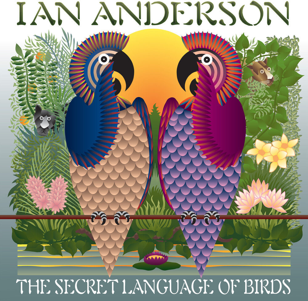 Ian Anderson - Secret Language Of Birds [LP] Vinyl Record