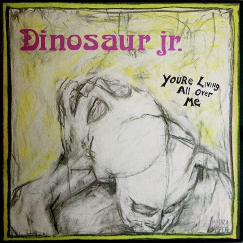 Dinosaur Jr - You're Living All Over Me (revinyl Edition) - Vinyl Record