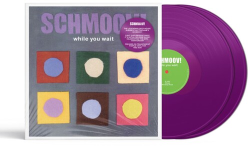 Schmoov - While You Wait - Vinyl Record