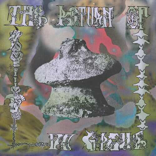 Dj Grzyb / Make-believe Ensemble - Return Of Dj Grzyb - Vinyl Record
