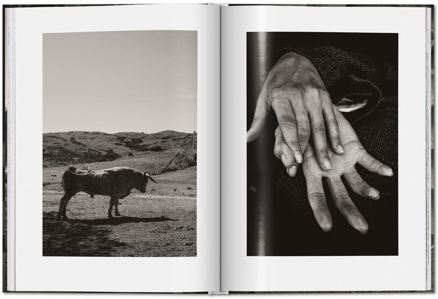 Peter Lindbergh. Untold Stories (English) Book