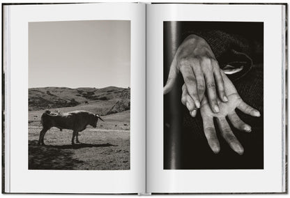 Peter Lindbergh. Untold Stories (English) Book