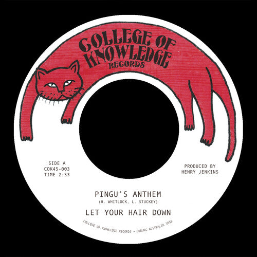 Let Your Hair Down - Pingu's Anthem B/w Gronk - Vinyl Record