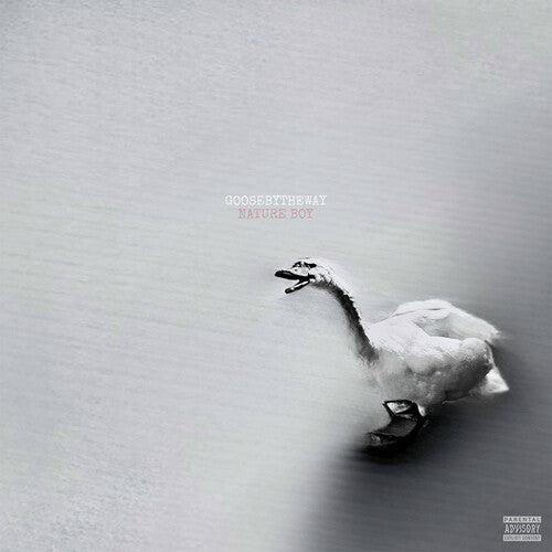 Goosebytheway - Nature Boy - Vinyl Record