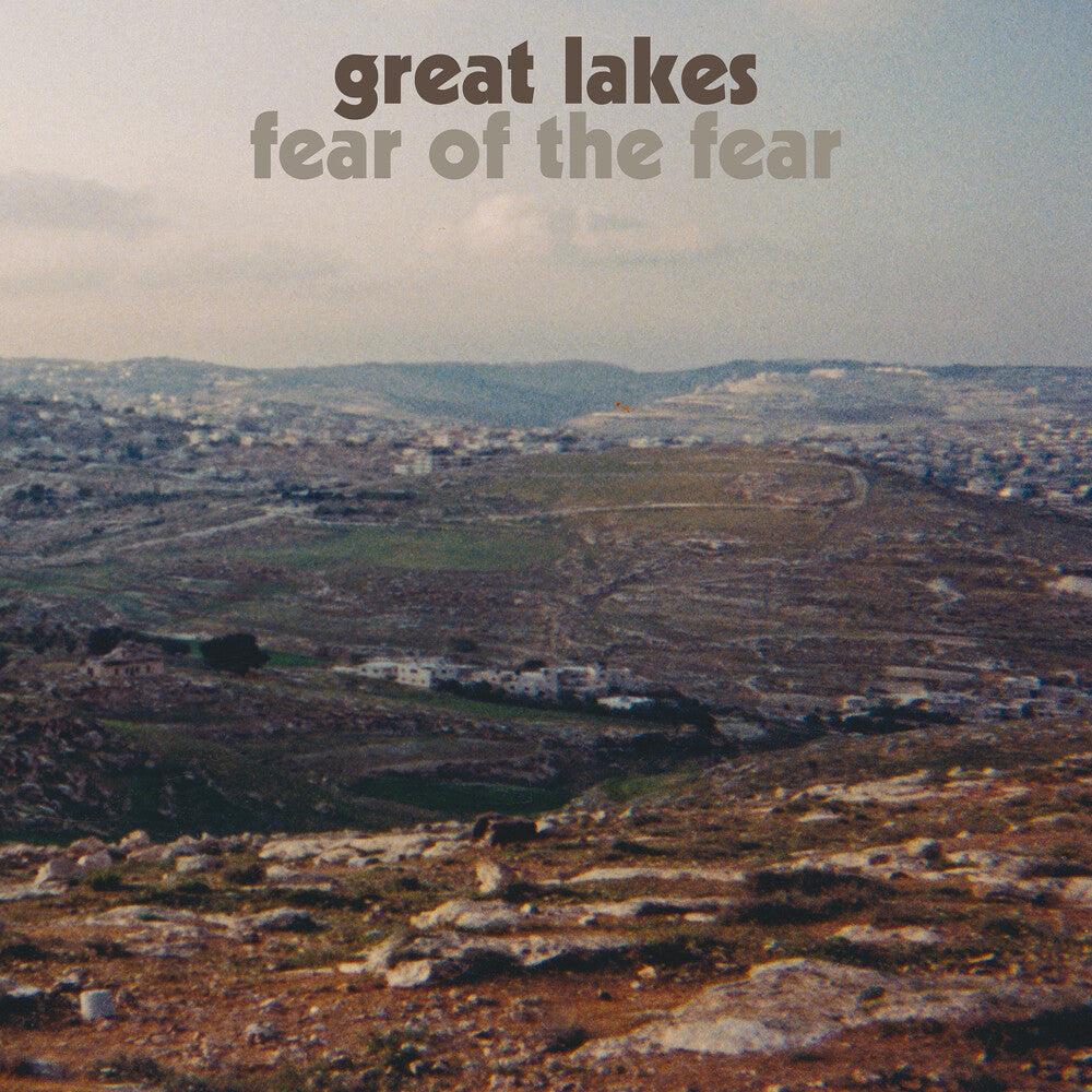 Fear of the Fear [LP] Vinyl Record