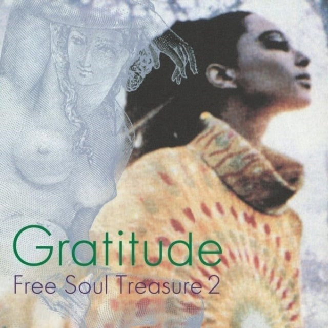 Various Artists - Gratitude: Suburbia Meets Ultra-Vybe Free Soul Treasure 2 - LP Vinyl Record