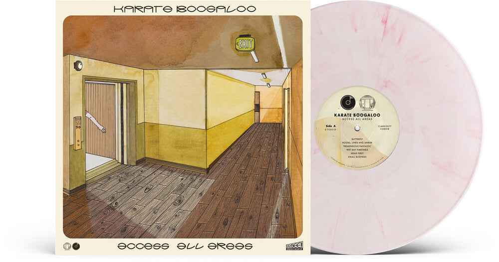 Pre-Order: Access All Areas - Pink [Colored Vinyl] (Pnk) Vinyl Record