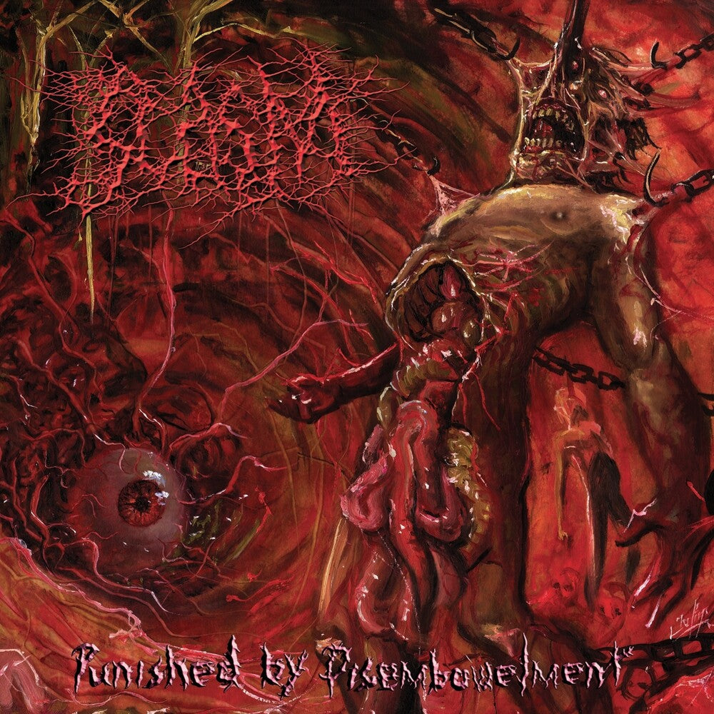 Pre-Order: Punished By Disembowelment Music CD