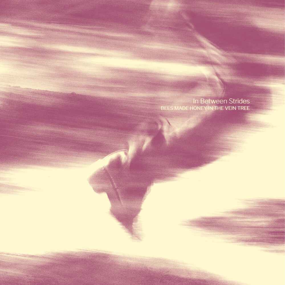 Pre-Order: In Between Strides [Digipak] Music CD