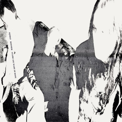 the album cover for Roomer - Staircase Made Of Rope