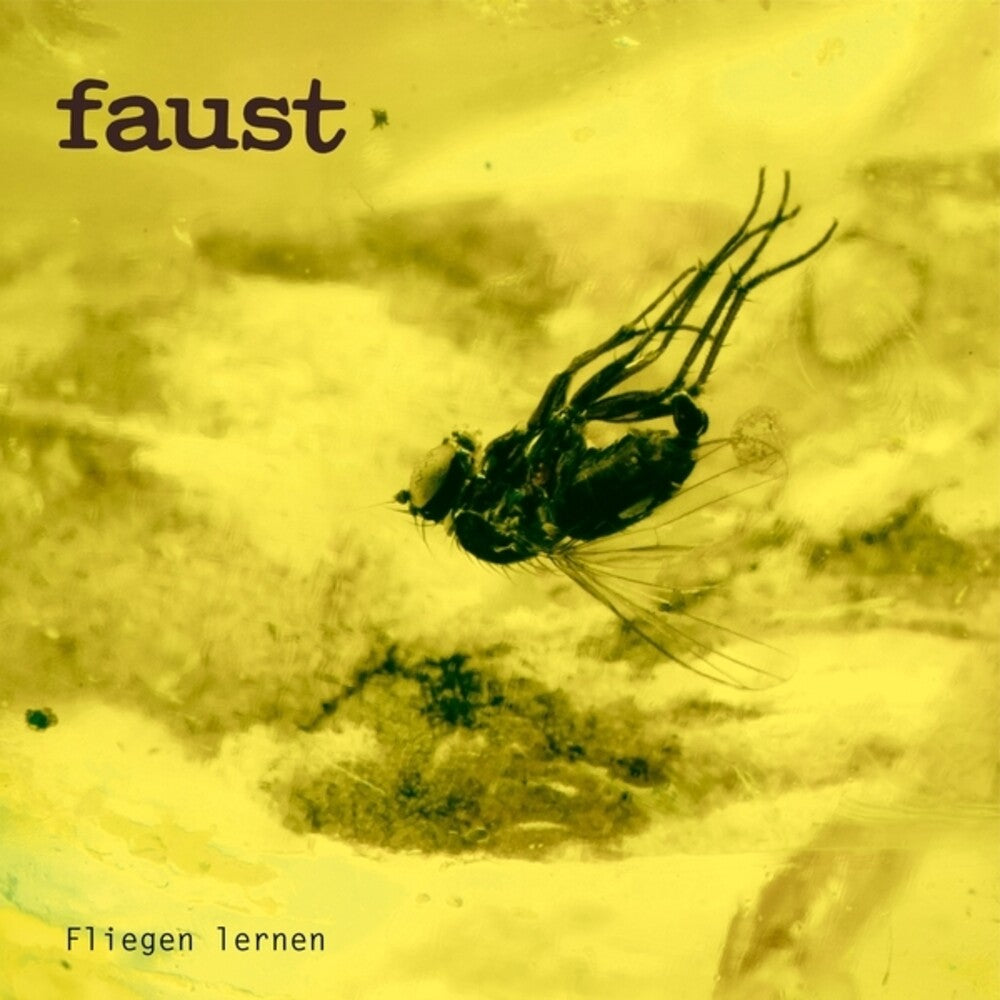 Pre-Order: Fliegen Lernen [LP] Vinyl Record