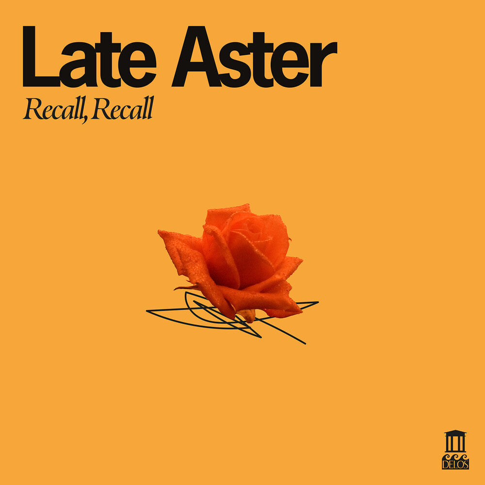 Late Aster – Recall Recall (LP Vinyl) Vinyl Record