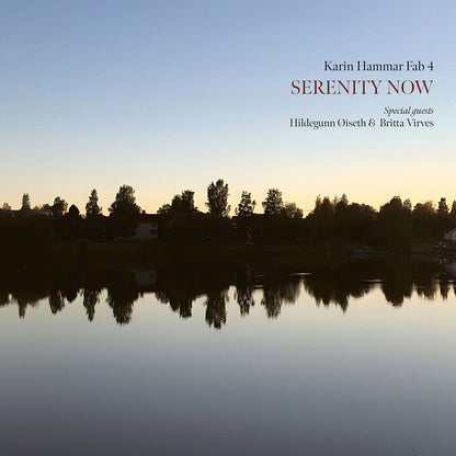Karin Hammar – Serenity Now (LP Vinyl) Vinyl Record