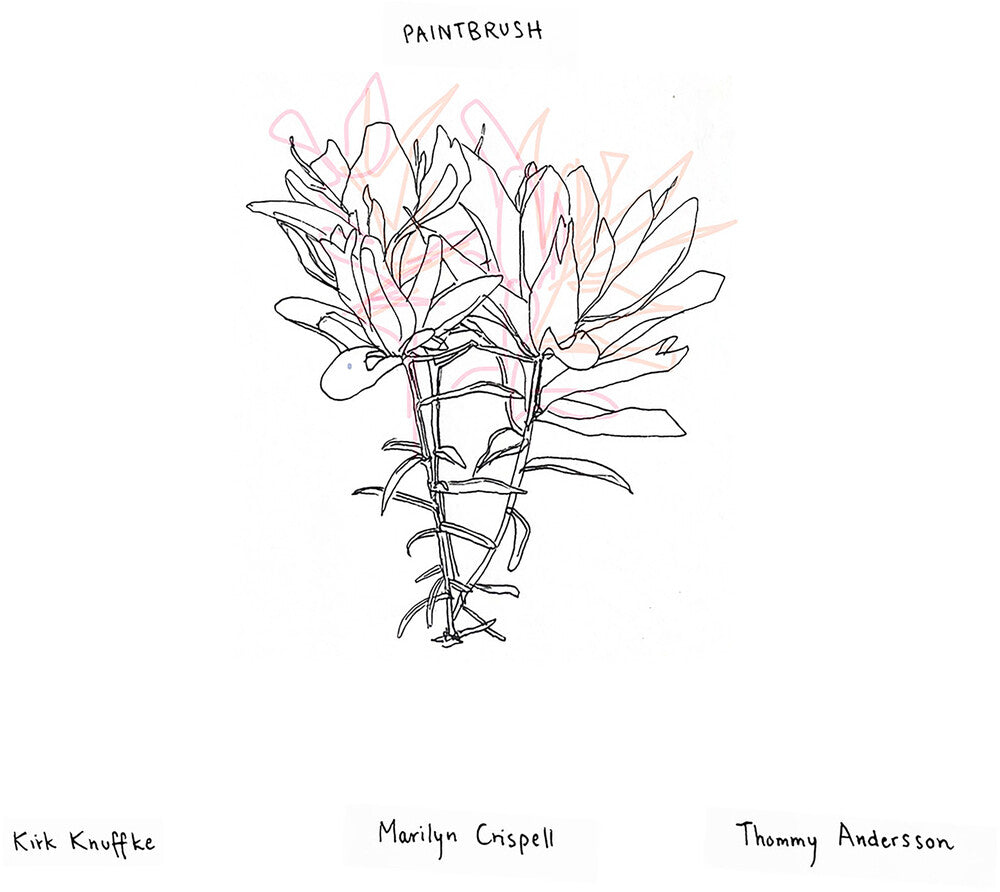 Pre-Order: Paintbrush Music CD