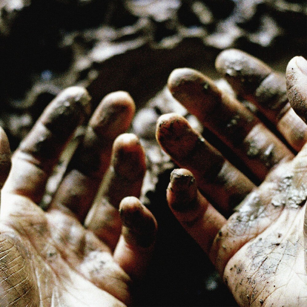 Pre-Order: What To Make Of These Mortal Hands [Download Included] Vinyl Record
