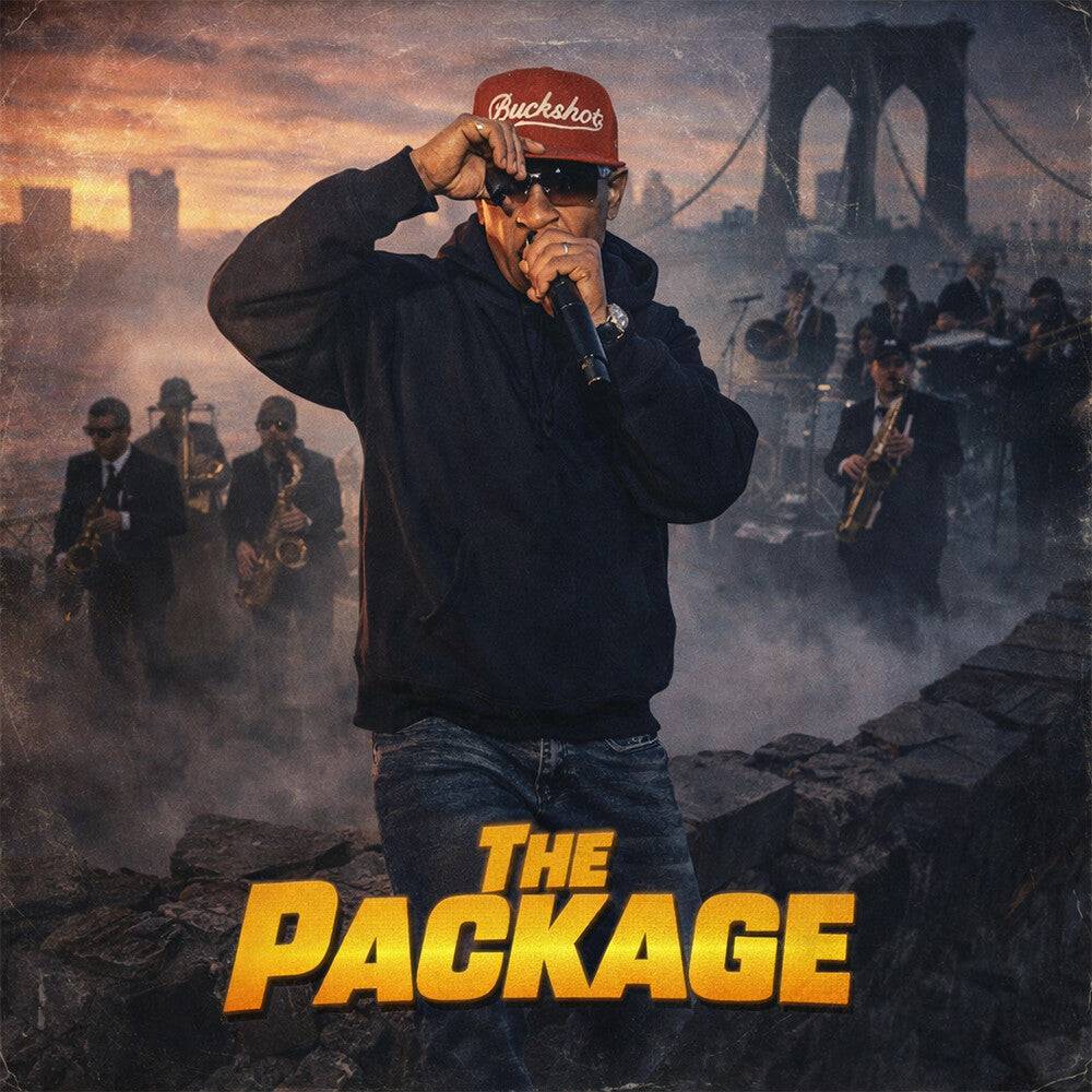 The Package [LP] Vinyl Record