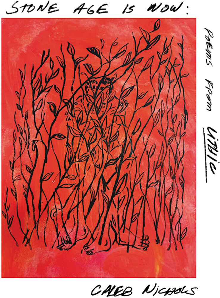 Pre-Order: Stone Age Is Now: Poems From Lithic [LP] Vinyl Record