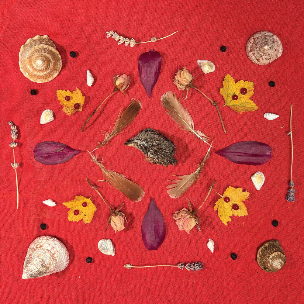 Pre-Order: Grouse Head Talisman [LP] Vinyl Record