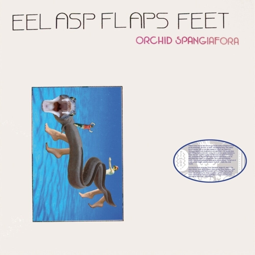 Pre-Order: Eel Asp Flaps Feet [LP] Vinyl Record