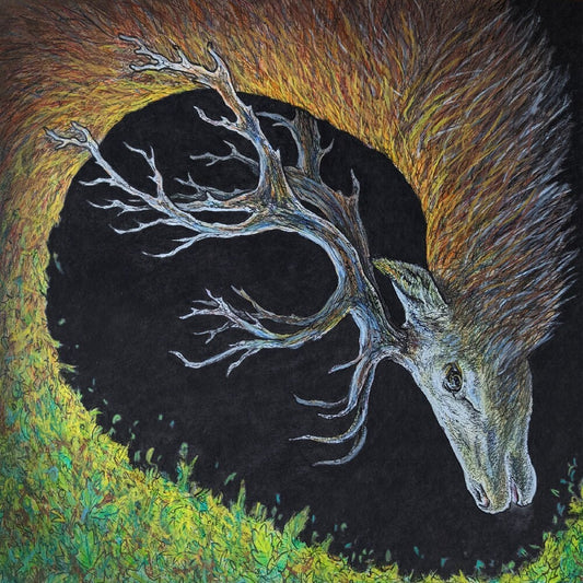 the album cover for Petrels - Infangthief - Clear Black Smoke (Blk) [Clear Vinyl] [Deluxe]